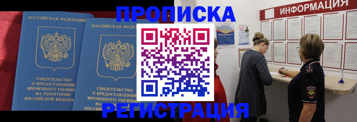 прописка в Курчалом